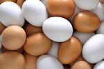 eieren gezond?